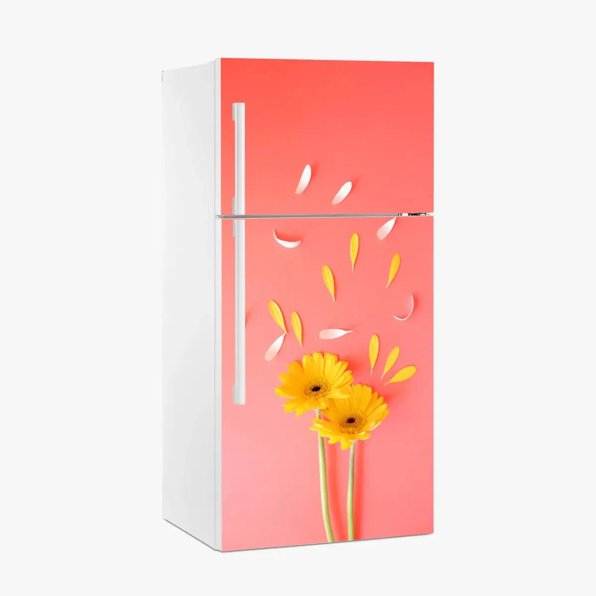 Kühlschrankaufkleber sonnige gelbe gerbera auf korallfarbenem hintergrund – Pixers®
