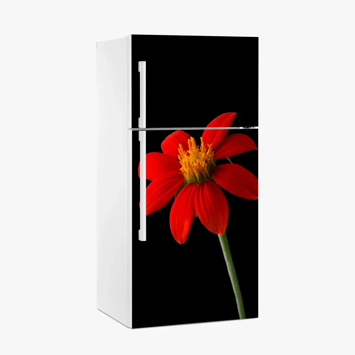 Kühlschrankaufkleber leuchtende mexikanische sonnenblume auf schwarzem hintergrund – Pixers®
