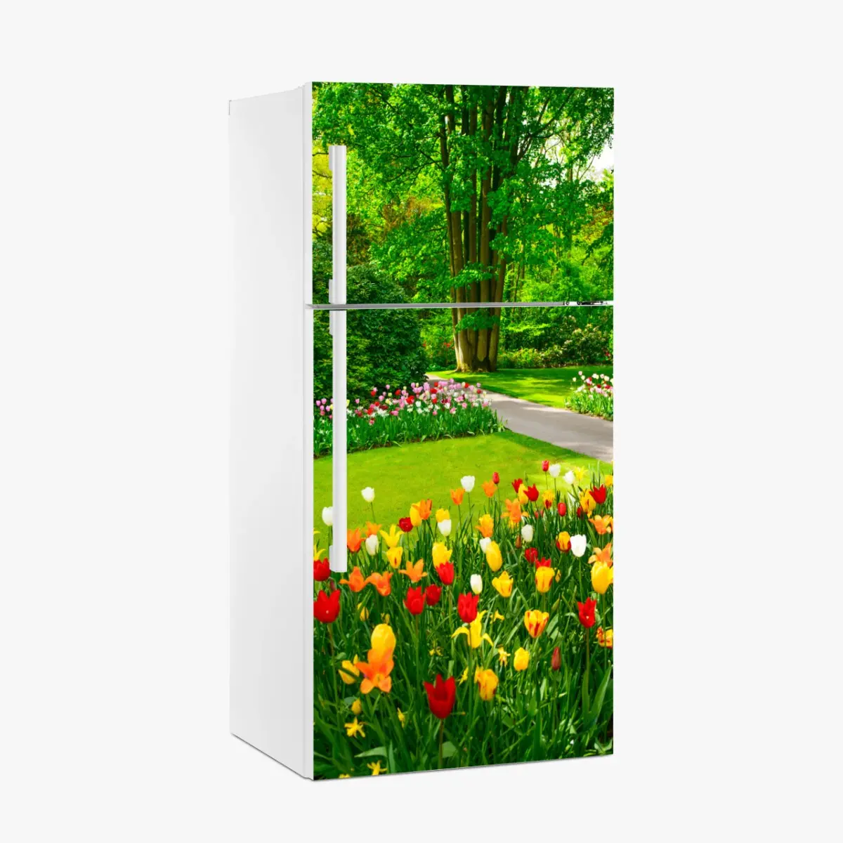 Kühlschrankaufkleber lebendiger tulpengarten in Keukenhof – Pixers®