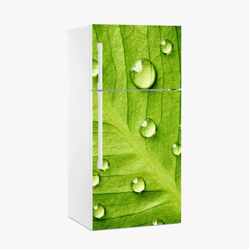 Kühlschrankaufkleber frisches grünes blatt mit wassertropfen