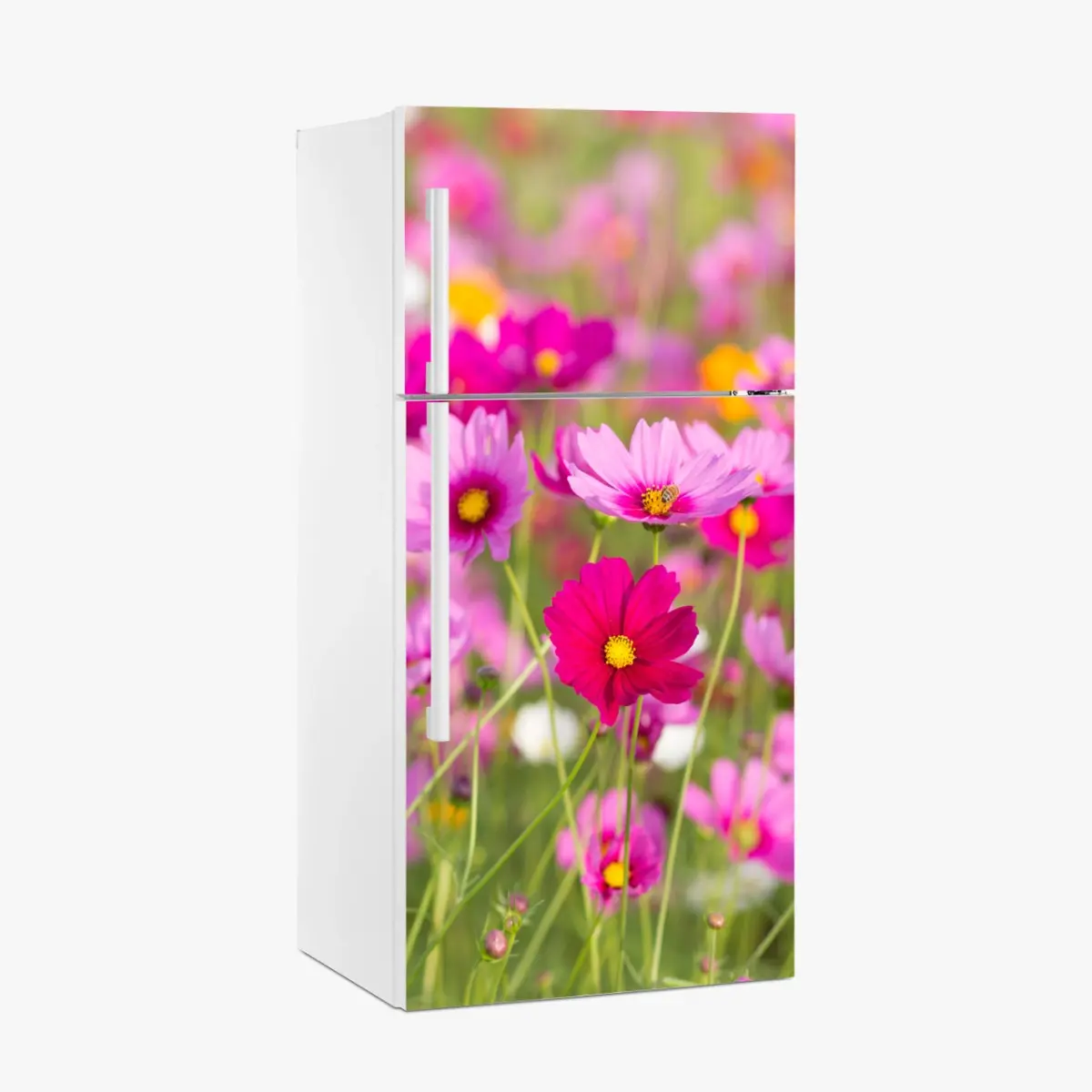 Kühlschrankaufkleber rosa kosmeenwiese in blüte – Pixers®