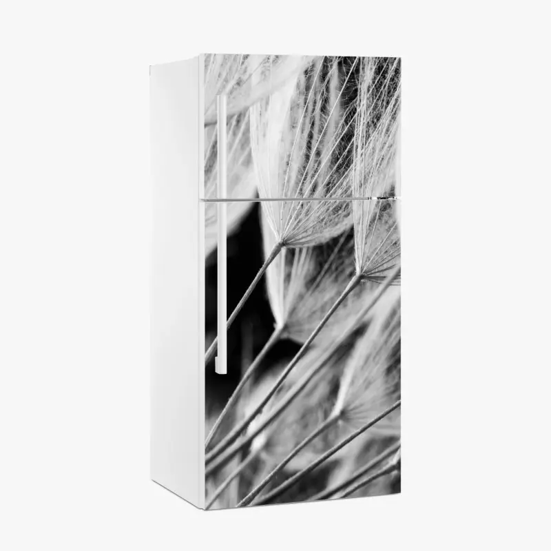 Kühlschrankaufkleber zarte nahaufnahme von löwenzahnsamen in monochrom