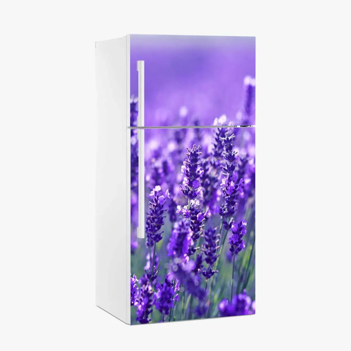 Kühlschrankaufkleber lavendelfeld nahaufnahme – Pixers®