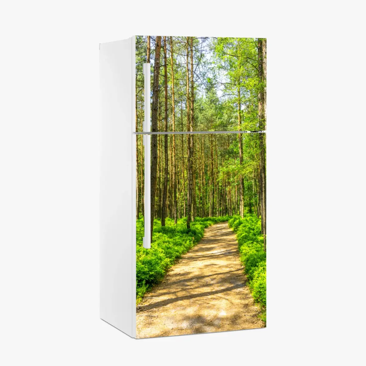 Kühlschrankaufkleber sonniger waldweg zwischen kiefern – Pixers®