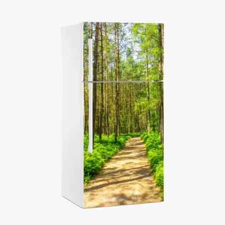 Kühlschrankaufkleber sonniger waldweg zwischen kiefern – Pixers®