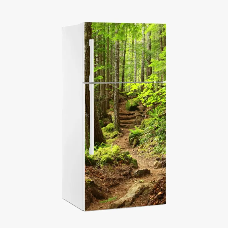 Kühlschrankaufkleber moosiger waldpfad