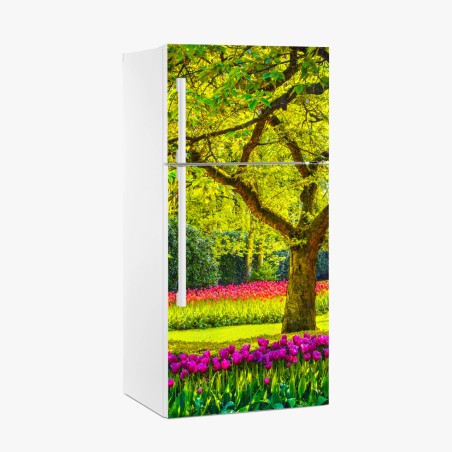 Kühlschrankaufkleber bunter tulpengarten in Keukenhof – Pixers®