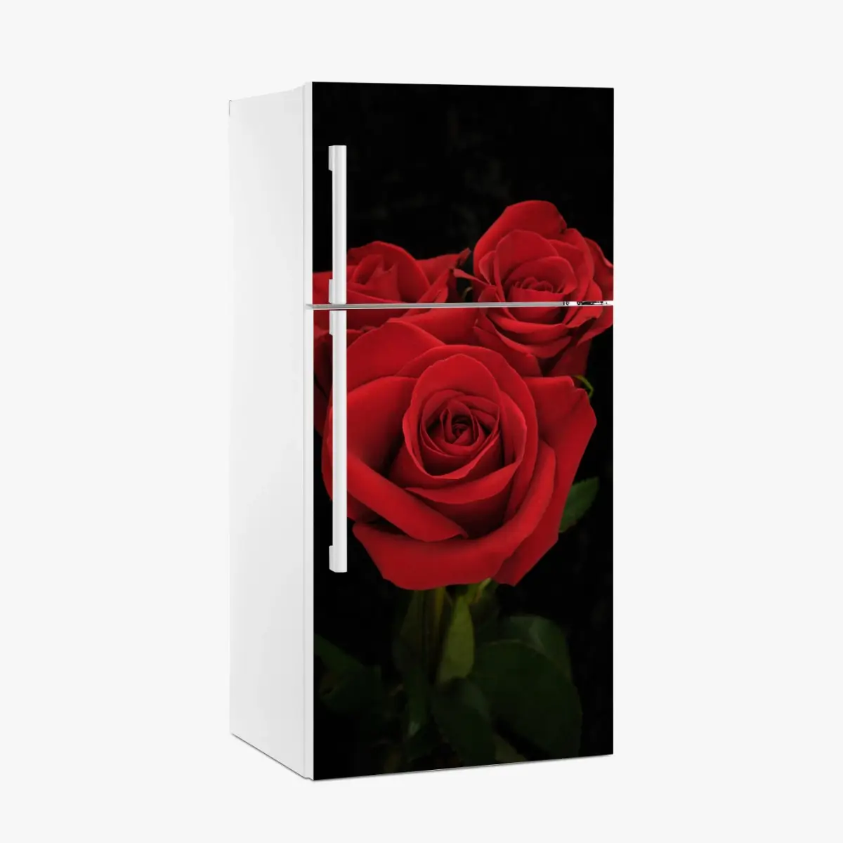 Kühlschrankaufkleber rote rosen vor schwarzem hintergrund – Pixers®