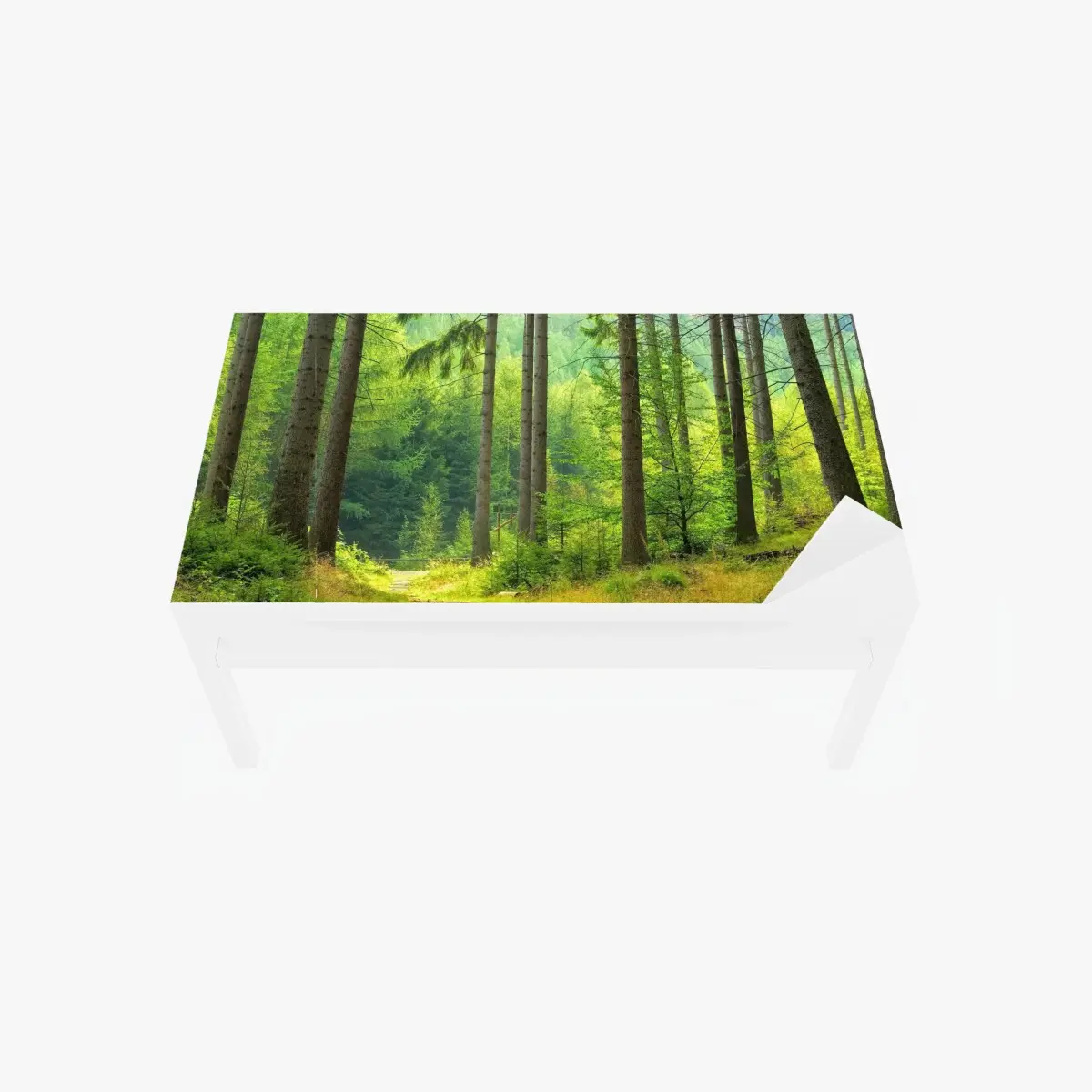 Tischaufkleber und Schreibtischaufkleber sonniger waldweg – Pixers®