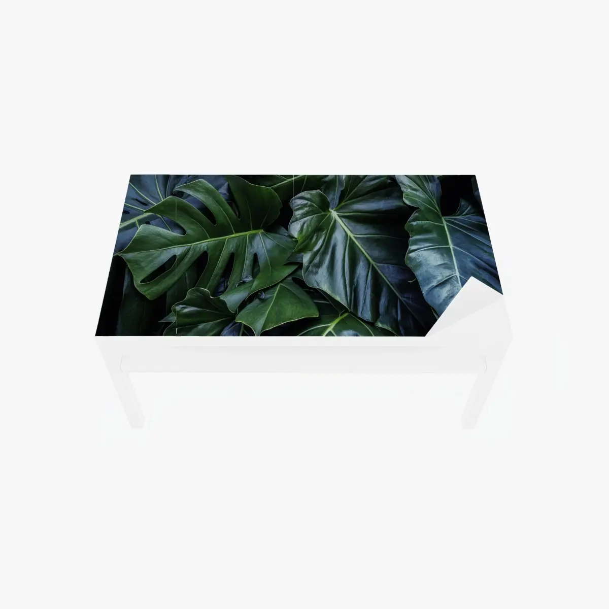 Tischaufkleber und Schreibtischaufkleber üppige tropische monstera-blätter – Pixers®