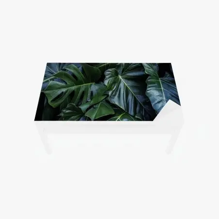 Tischaufkleber und Schreibtischaufkleber üppige tropische monstera-blätter – Pixers®