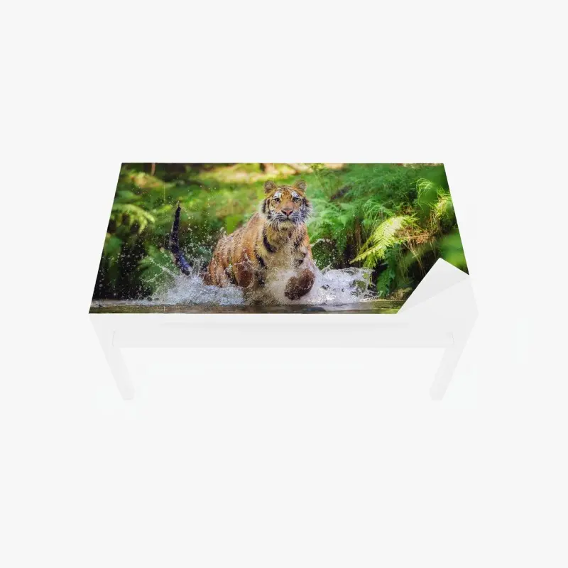 Tischaufkleber und Schreibtischaufkleber majestätischer tiger im waldbach