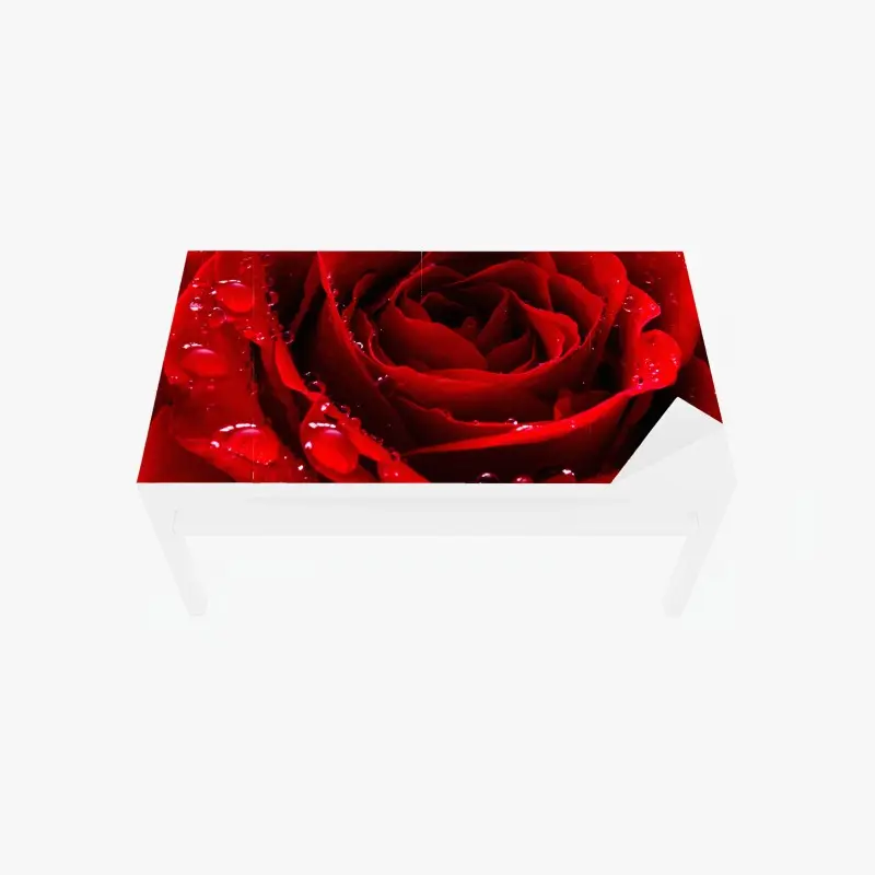 Tischaufkleber und Schreibtischaufkleber leuchtend rote rose nahaufnahme