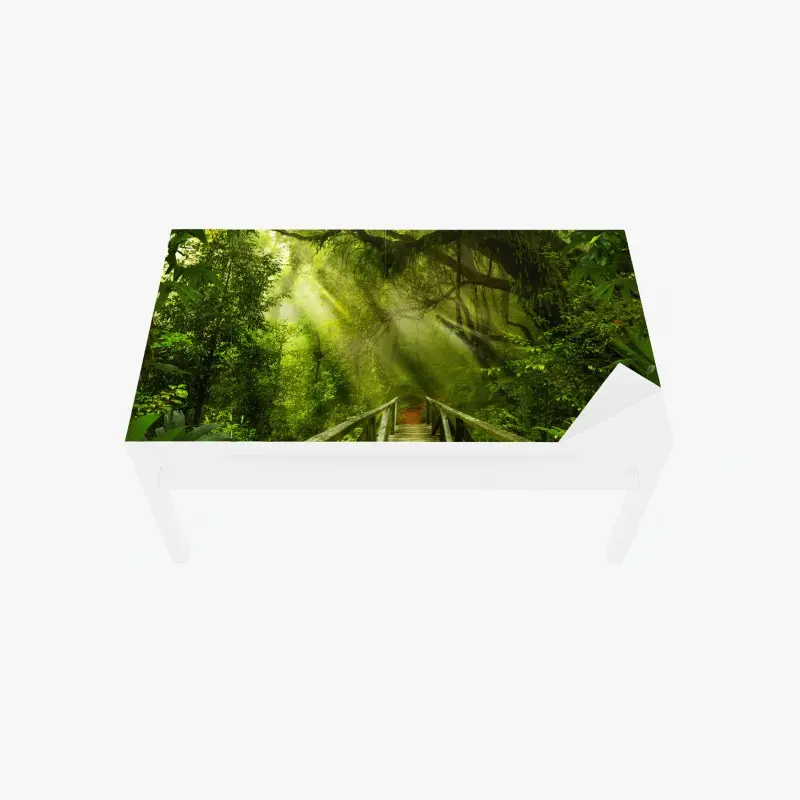Tischaufkleber und Schreibtischaufkleber sonnenbeschienener waldweg