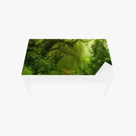Tischaufkleber und Schreibtischaufkleber üppiger grüner waldpfad – Pixers®