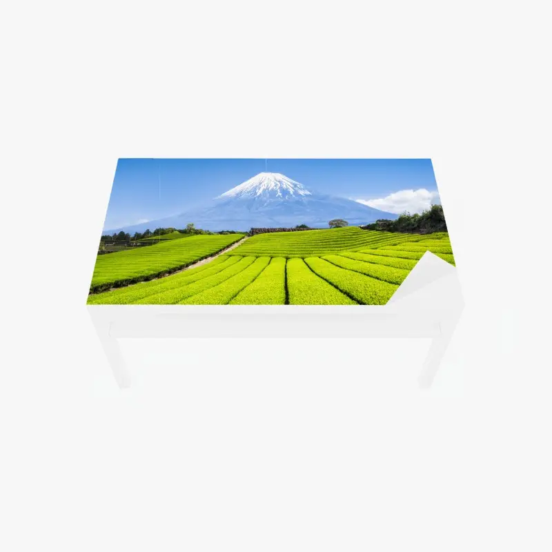Tischaufkleber und Schreibtischaufkleber üppige teefelder am fuß von Mount Fuji