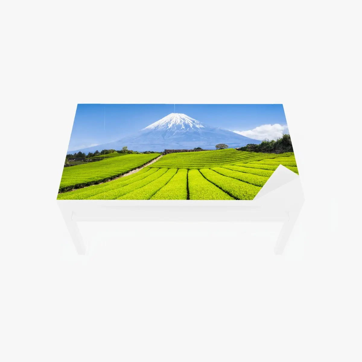 Tischaufkleber und Schreibtischaufkleber üppige teefelder am fuß von Mount Fuji – Pixers®