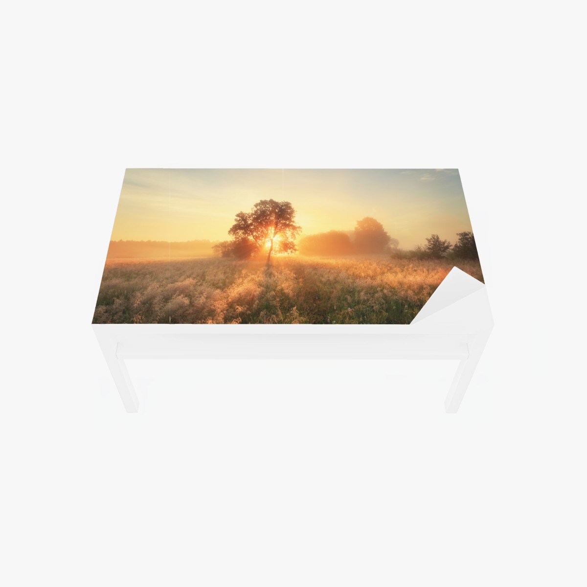 Tischaufkleber und Schreibtischaufkleber goldener sonnenaufgang über nebliger wiese – Pixers®