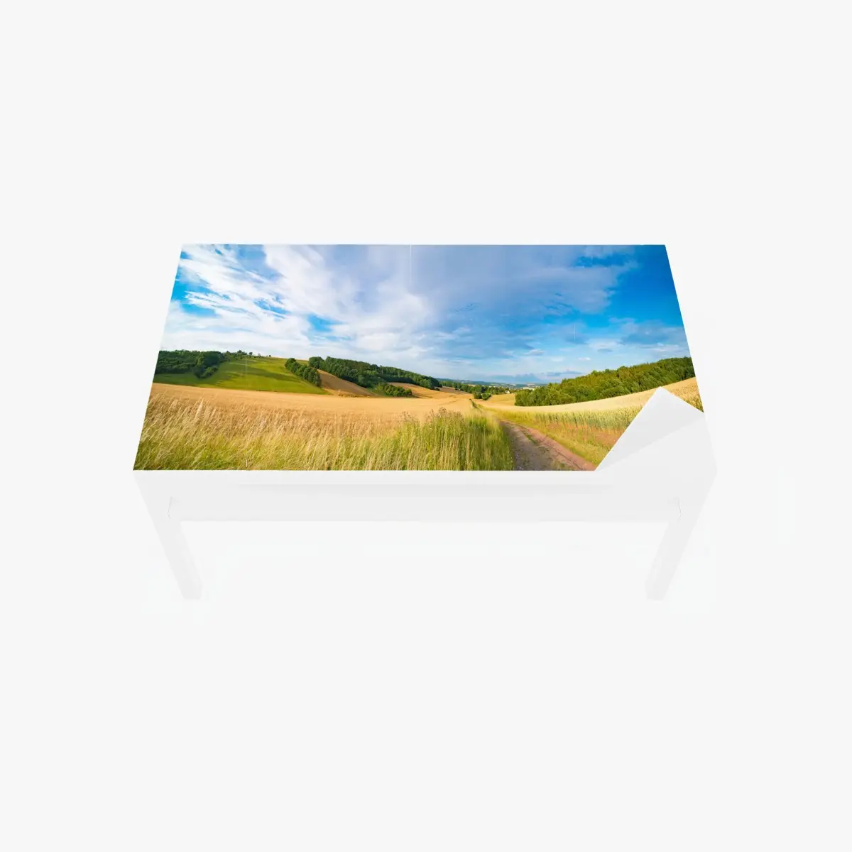 Tischaufkleber und Schreibtischaufkleber morgendliche weizenlandschaft in Kansas – Pixers®