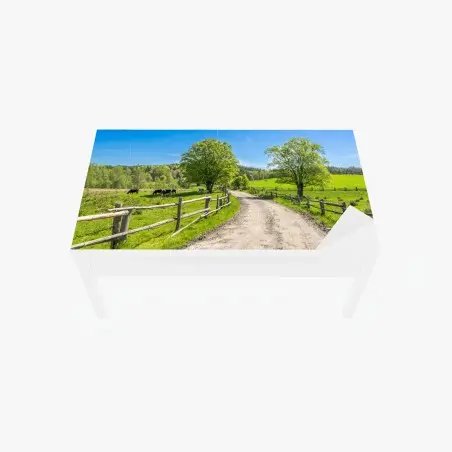 Tischaufkleber und Schreibtischaufkleber sonnige landstraße durch grüne wiesen – Pixers®