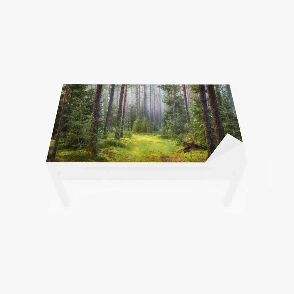 Tischaufkleber und Schreibtischaufkleber nebliger kiefernwald mit pfad – Pixers®