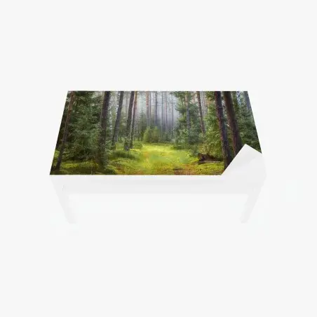 Tischaufkleber und Schreibtischaufkleber nebliger kiefernwald mit pfad – Pixers®