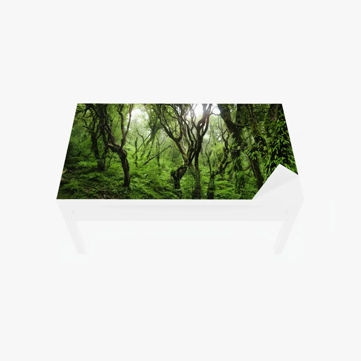 Tischaufkleber und Schreibtischaufkleber mystischer grüner wald – Pixers®