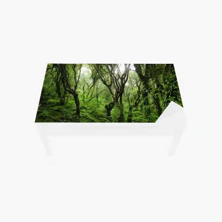 Tischaufkleber und Schreibtischaufkleber mystischer grüner wald – Pixers®