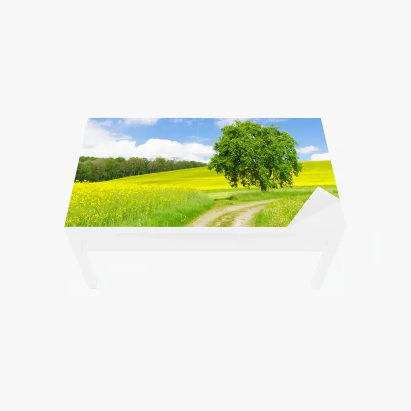 Tischaufkleber und Schreibtischaufkleber sonniger feldweg mit einsamem baum