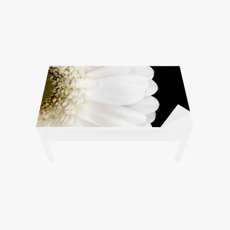 Tischaufkleber und Schreibtischaufkleber weiße gerbera auf schwarzem hintergrund minimalistische nahaufnahme