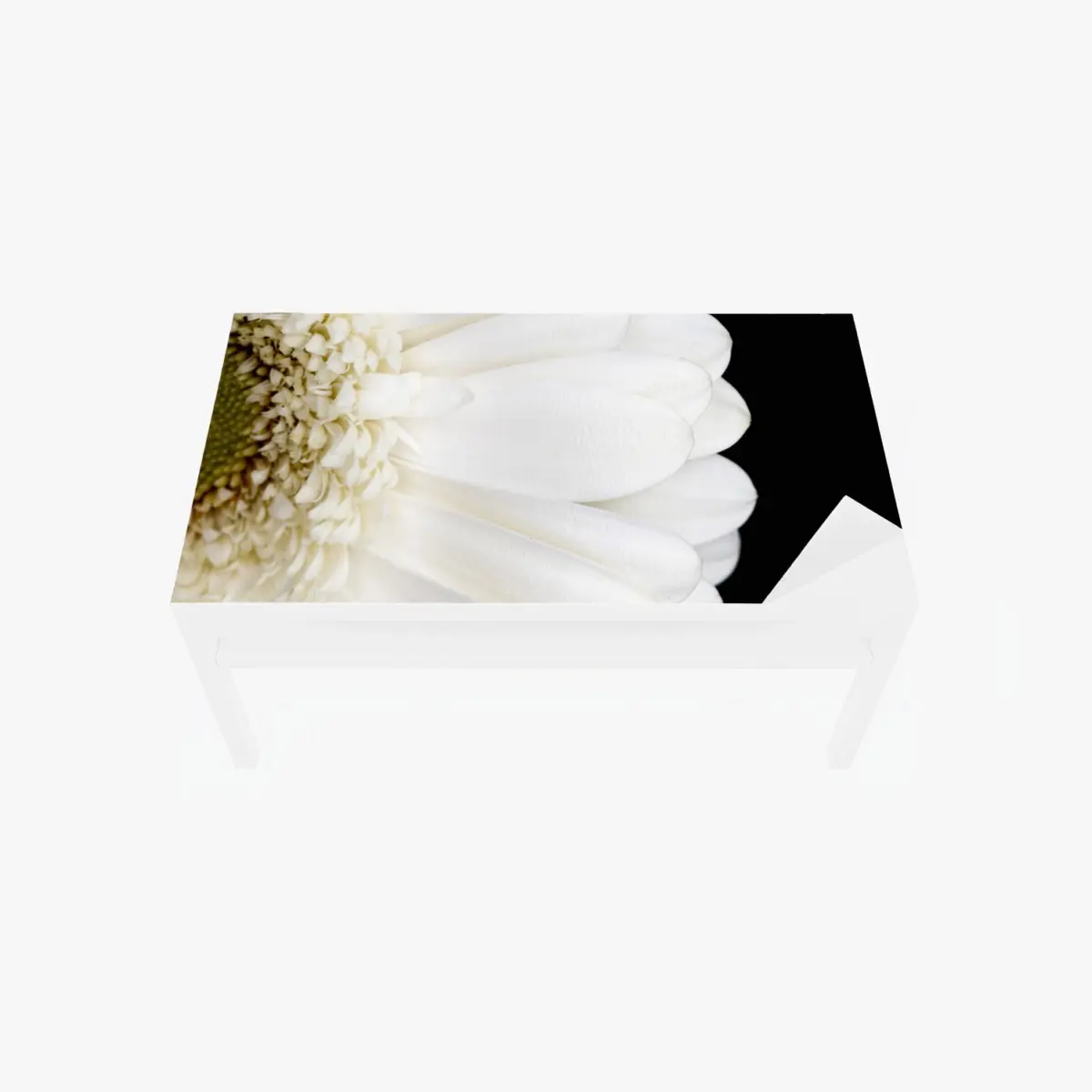 Tischaufkleber und Schreibtischaufkleber weiße gerbera auf schwarzem hintergrund minimalistische nahaufnahme – Pixers®