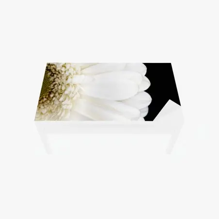 Tischaufkleber und Schreibtischaufkleber weiße gerbera auf schwarzem hintergrund minimalistische nahaufnahme – Pixers®