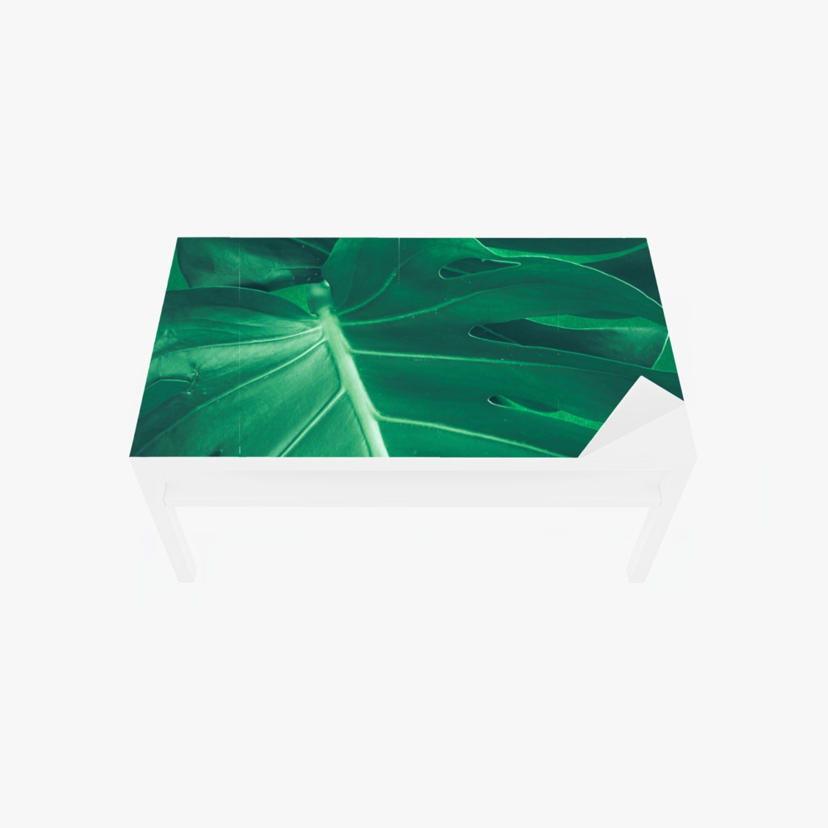 Tischaufkleber und Schreibtischaufkleber prächtiges monstera-blatt nahaufnahme – Pixers®