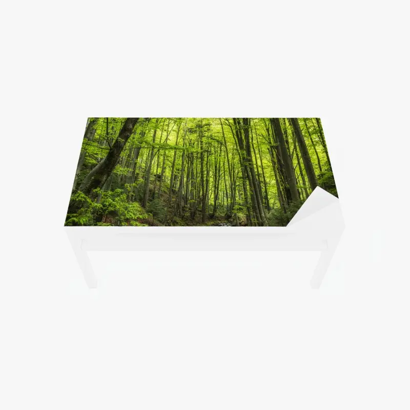 Tischaufkleber und Schreibtischaufkleber ruhiger grüner waldbach