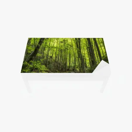 Tischaufkleber und Schreibtischaufkleber ruhiger grüner waldbach – Pixers®