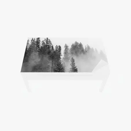 Tischaufkleber und Schreibtischaufkleber nebliger Giant Forest, Sequoia National Park – Pixers®