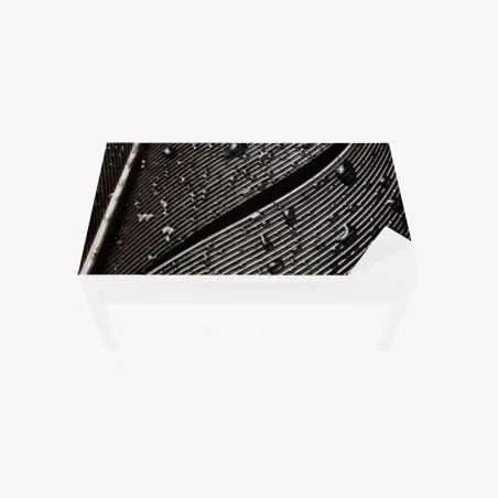 Tischaufkleber und Schreibtischaufkleber monochrome feder mit wassertropfen – Pixers®