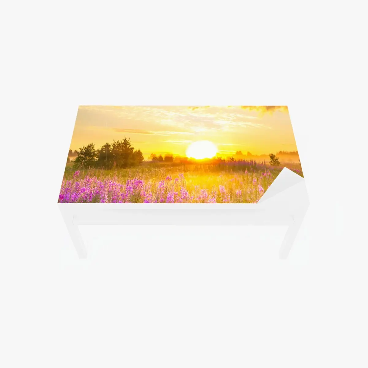 Tischaufkleber und Schreibtischaufkleber sonnenaufgang über violetter wildblumenwiese – Pixers®