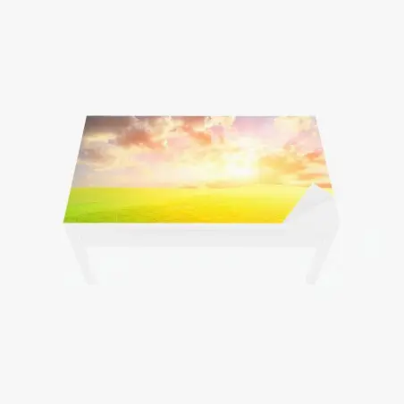 Tischaufkleber und Schreibtischaufkleber sonnenbeschienene wiese bei sonnenuntergang – Pixers®