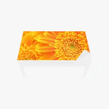 Tischaufkleber und Schreibtischaufkleber leuchtende orange gerbera in makro – Pixers®