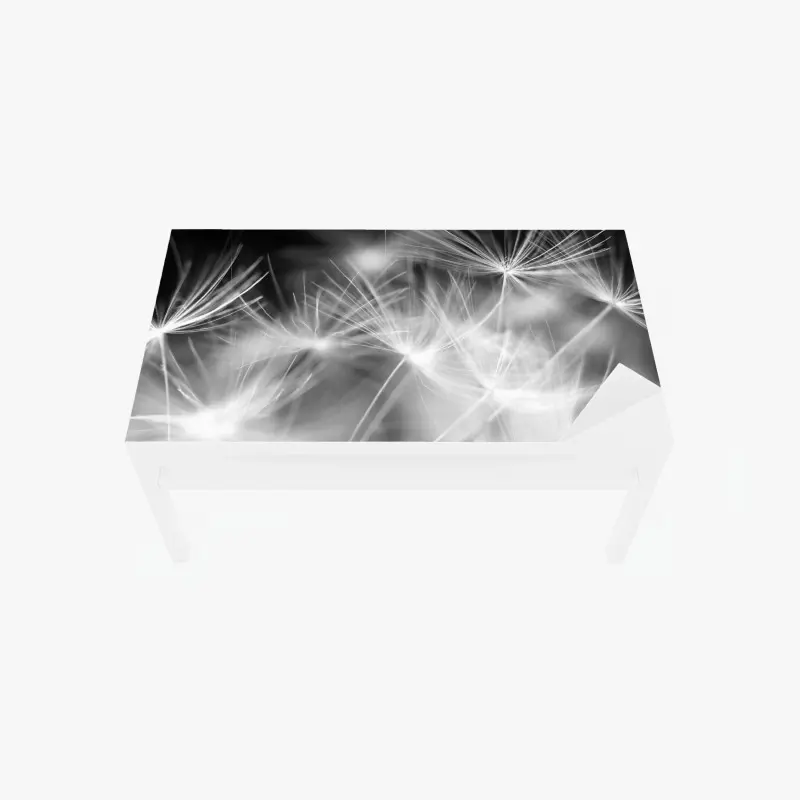 Tischaufkleber und Schreibtischaufkleber zarte löwenzahnsamen in monochrom