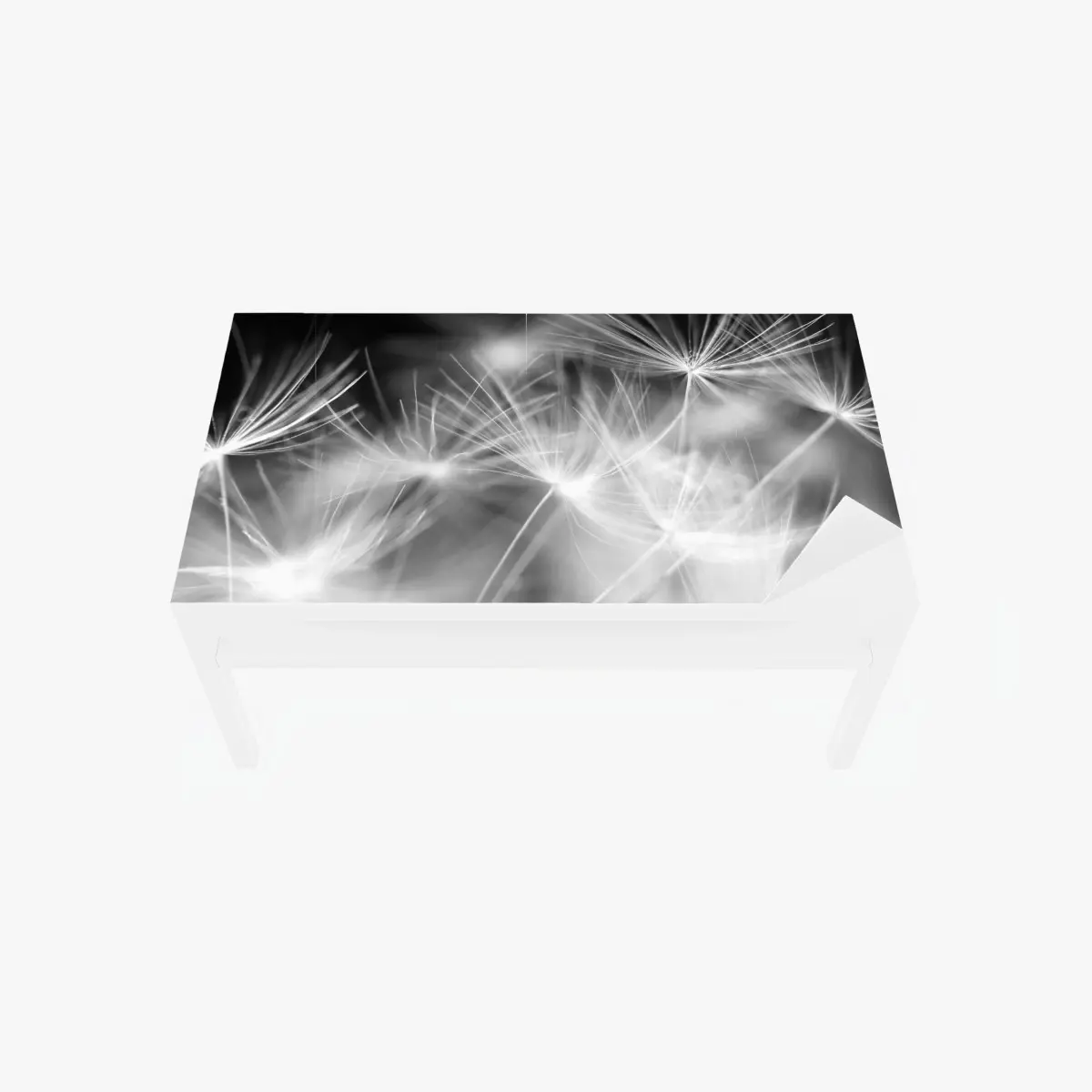 Tischaufkleber und Schreibtischaufkleber zarte löwenzahnsamen in monochrom – Pixers®