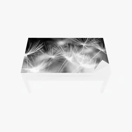 Tischaufkleber und Schreibtischaufkleber zarte löwenzahnsamen in monochrom – Pixers®