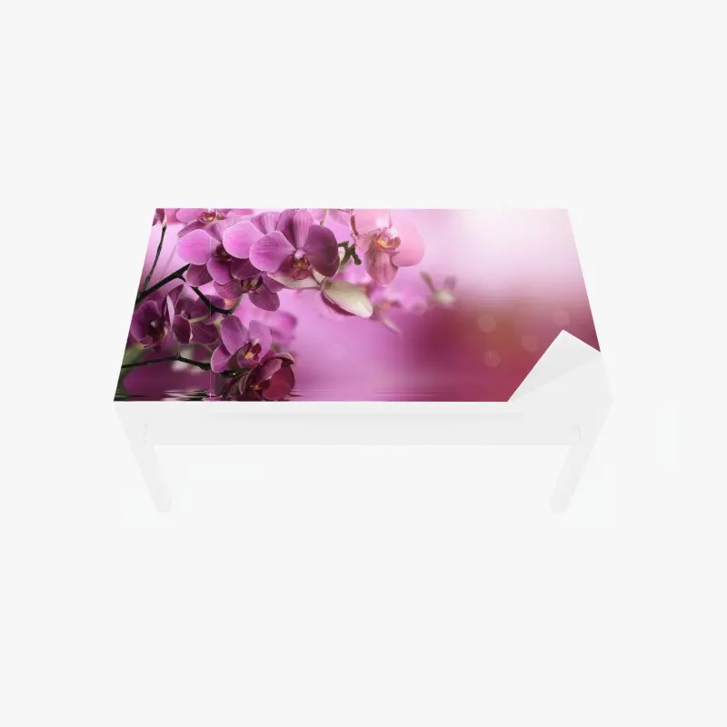 Tischaufkleber und Schreibtischaufkleber rosa orchideen spiegelung
