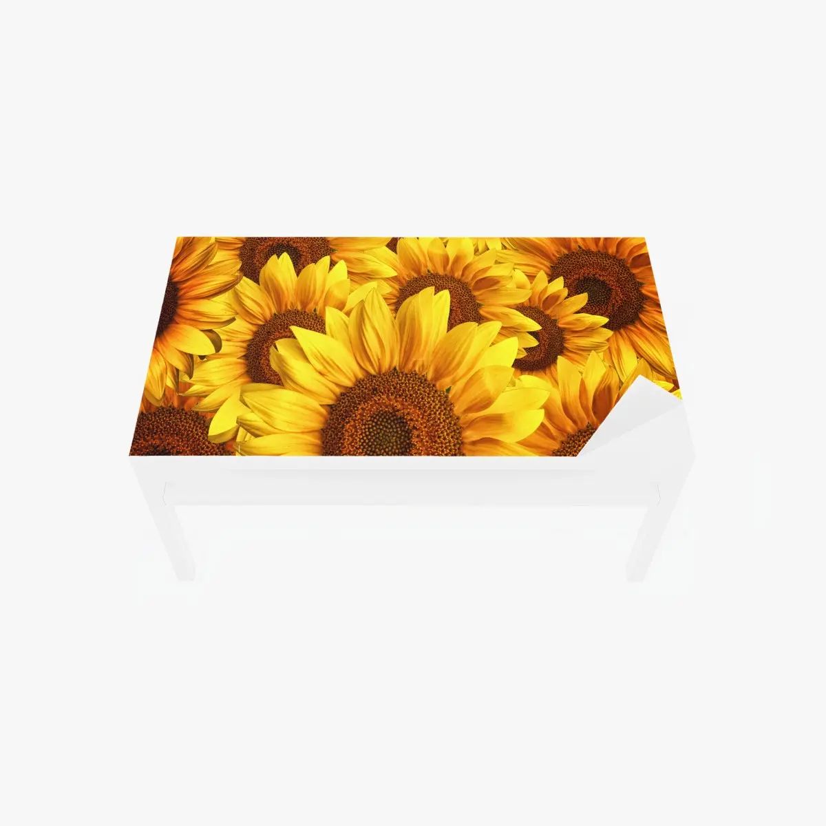 Tischaufkleber und Schreibtischaufkleber goldene sonnenblumen – Pixers®