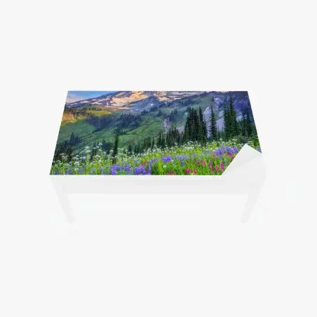 Tischaufkleber und Schreibtischaufkleber alpine blumenwiese vor schneebedeckten bergen – Pixers®