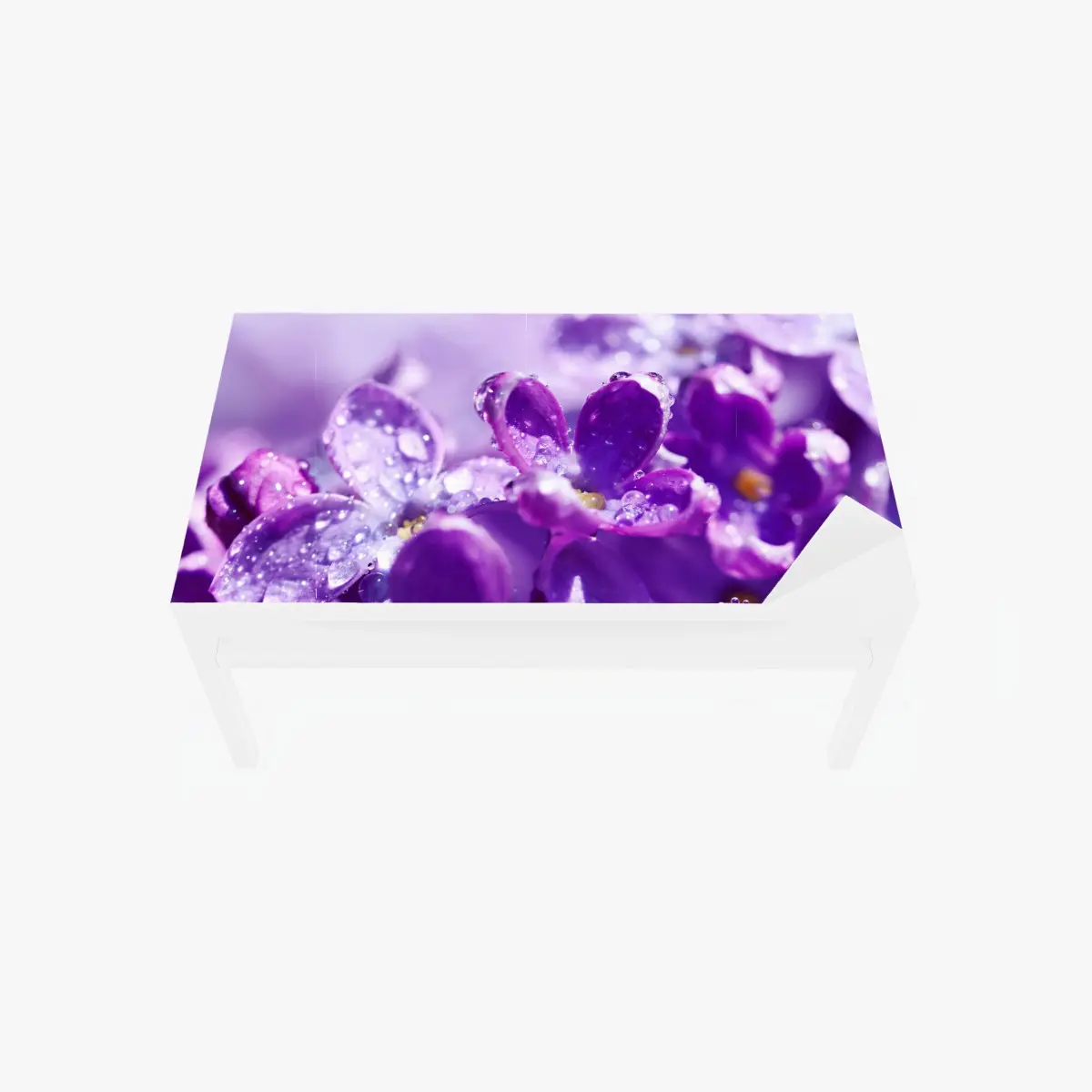 Tischaufkleber und Schreibtischaufkleber lila fliederblüte mit tau – Pixers®