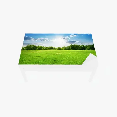 Tischaufkleber und Schreibtischaufkleber sonnige grüne wiese – Pixers®