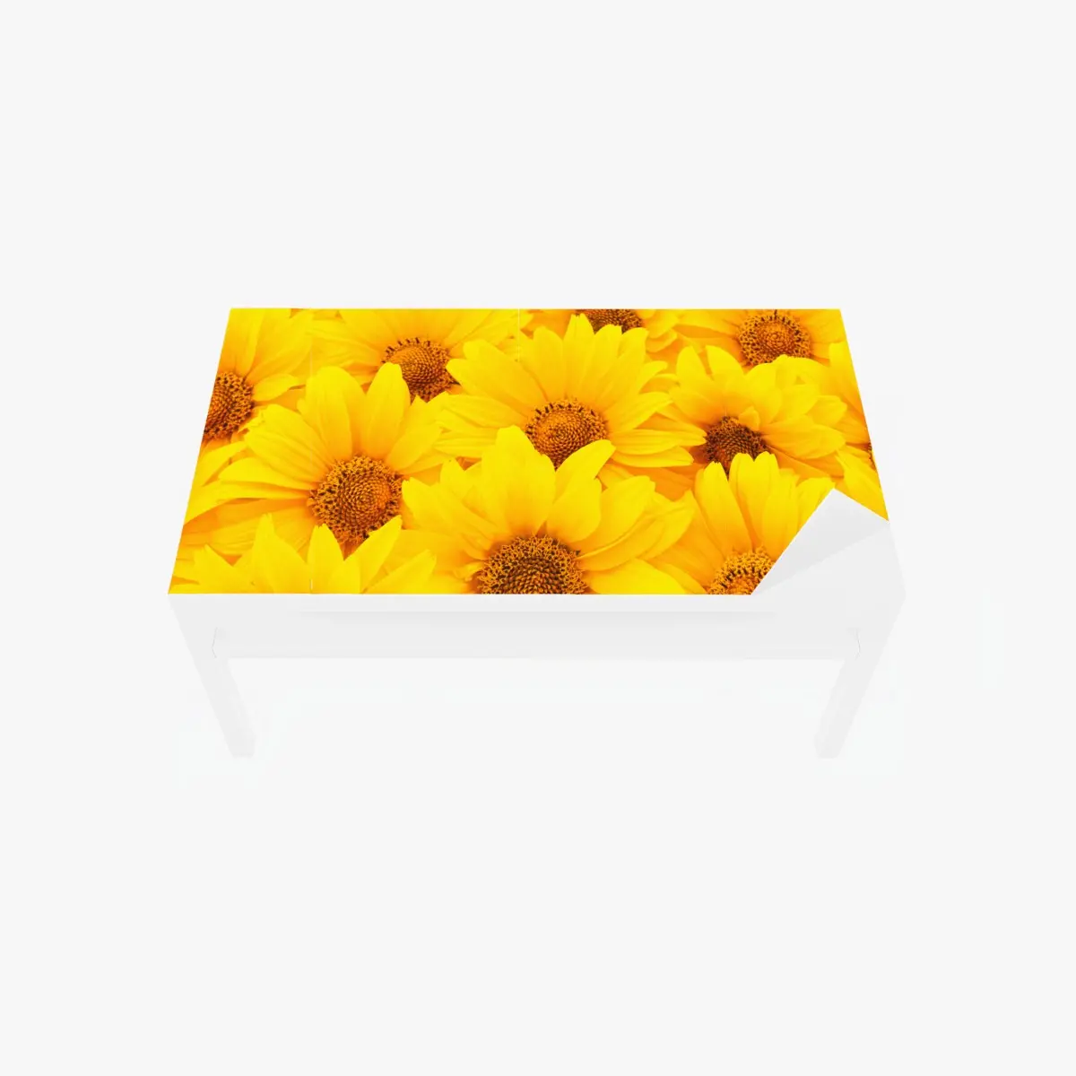 Tischaufkleber und Schreibtischaufkleber leuchtende gelbe sonnenblumen in nahaufnahme – Pixers®