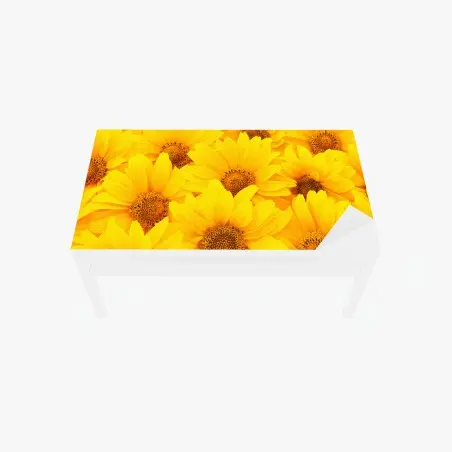 Tischaufkleber und Schreibtischaufkleber leuchtende gelbe sonnenblumen in nahaufnahme – Pixers®